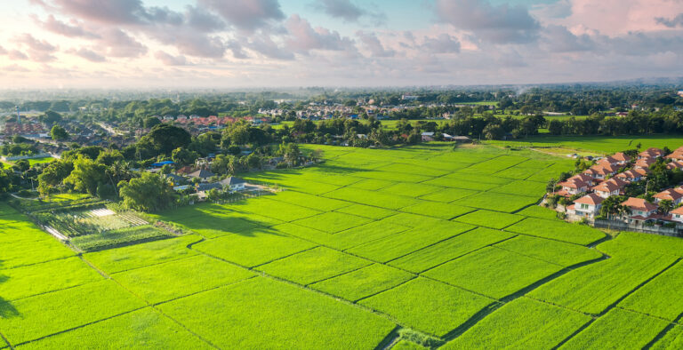 Terrein